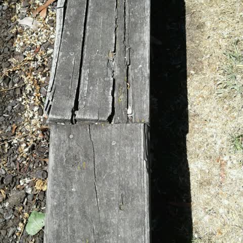 Parks — a report photo