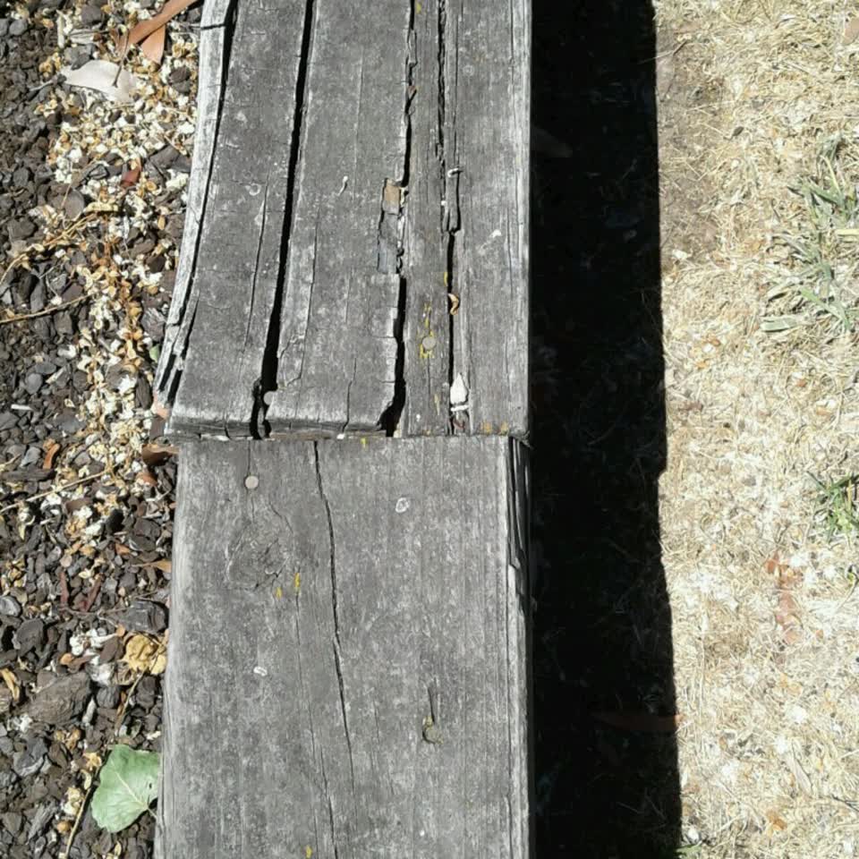 The photograph attached to this parks report