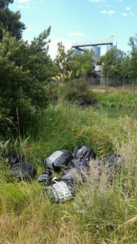 Rubbish/Recycling — a report photo