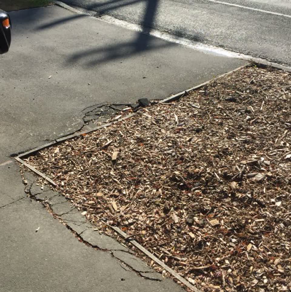 The photograph attached to this roading/streets report
