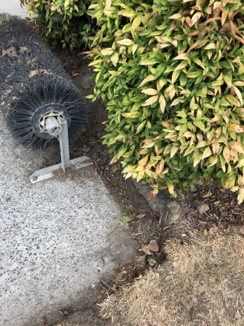 The photograph attached to this parks report