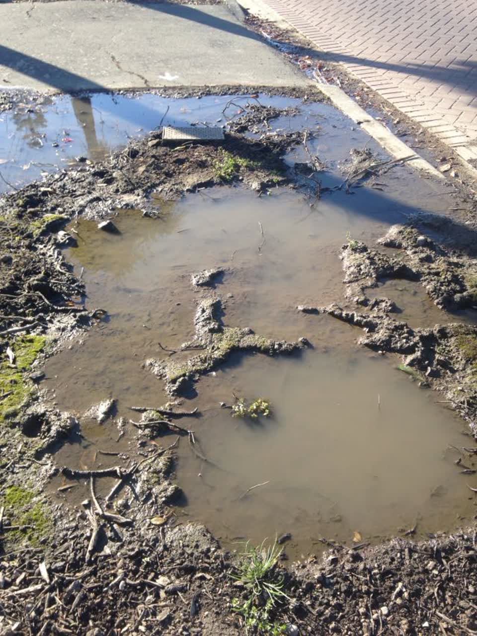 The photograph attached to this water supply report