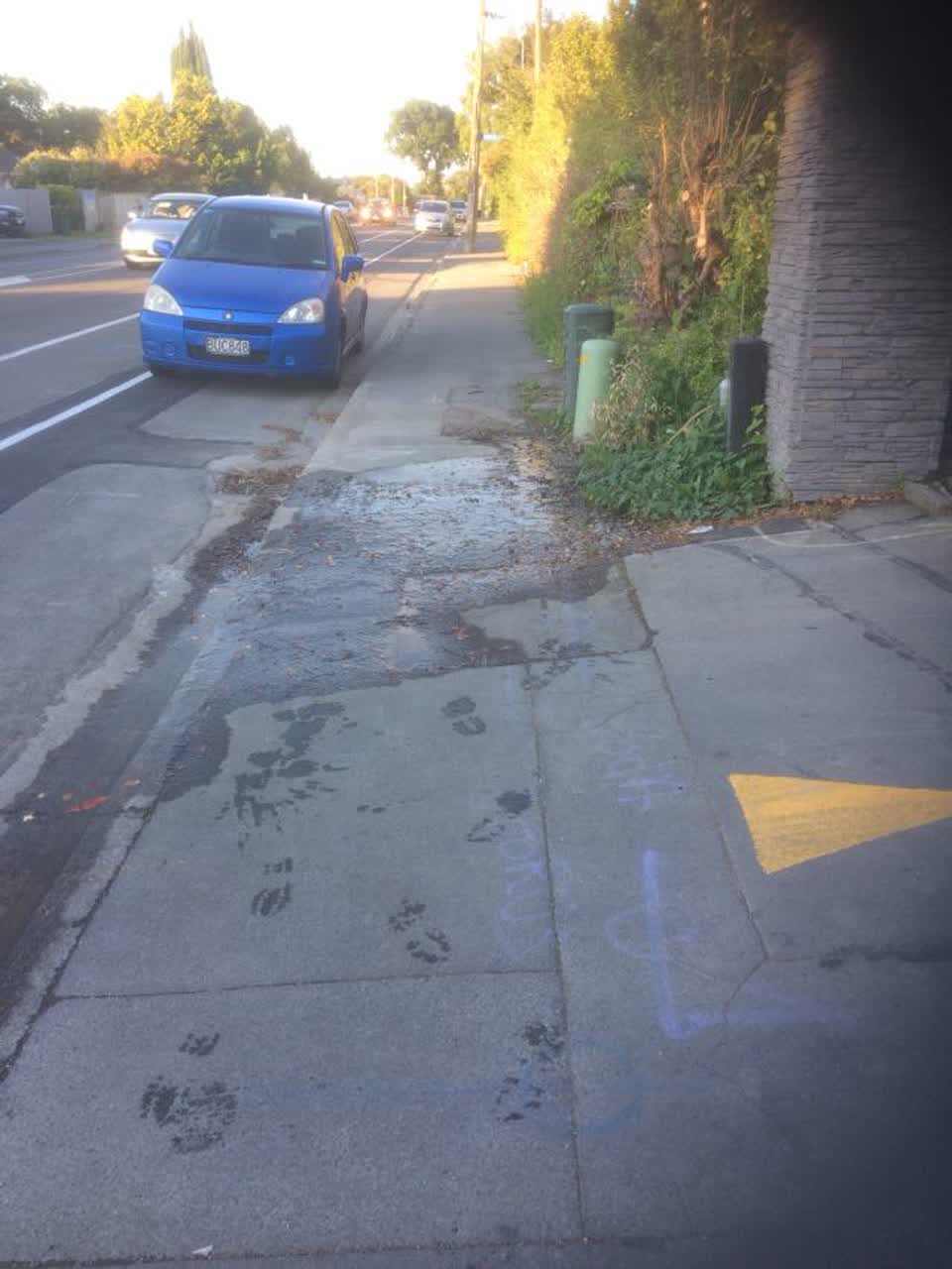 The photograph attached to this water supply report
