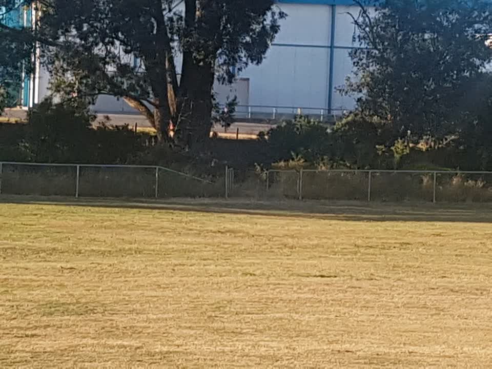 The photograph attached to this parks report