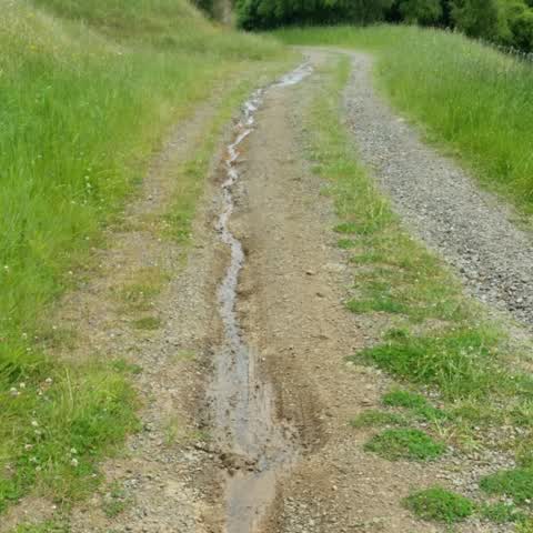 Roading/Streets, a report photo