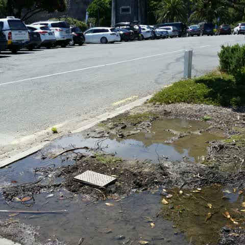 Water Supply, a report photo