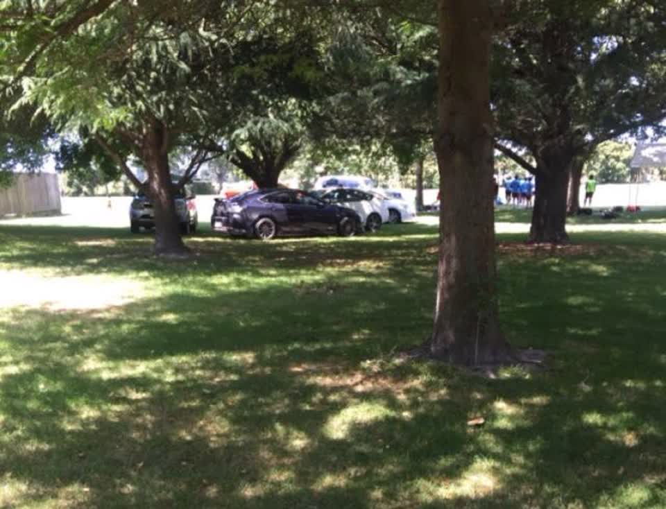 The photograph attached to this parks report