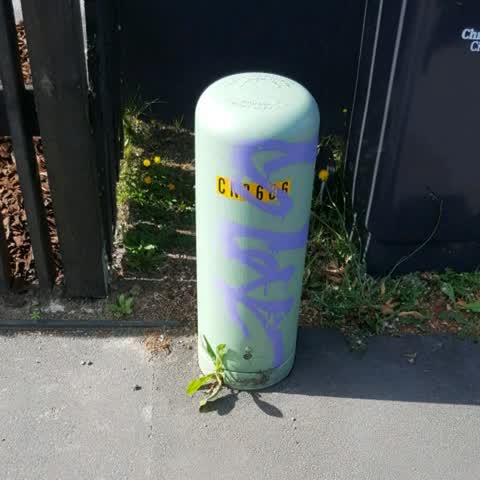 Graffiti, a report photo