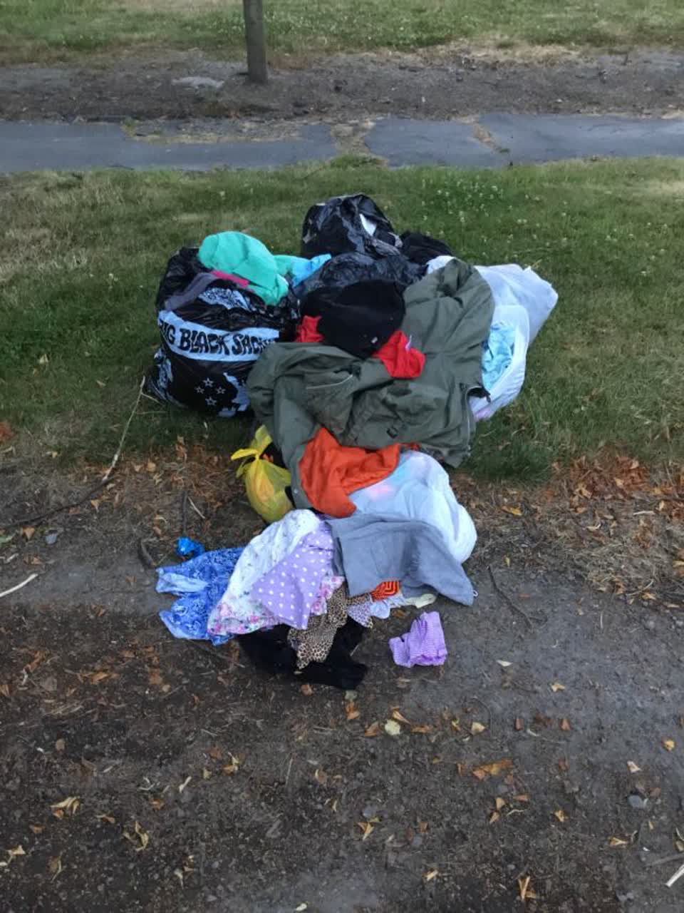 The photograph attached to this rubbish/recycling report