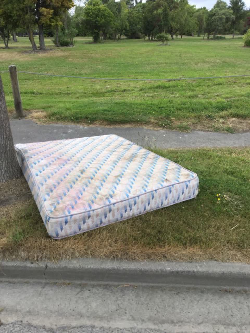 The photograph attached to this rubbish/recycling report