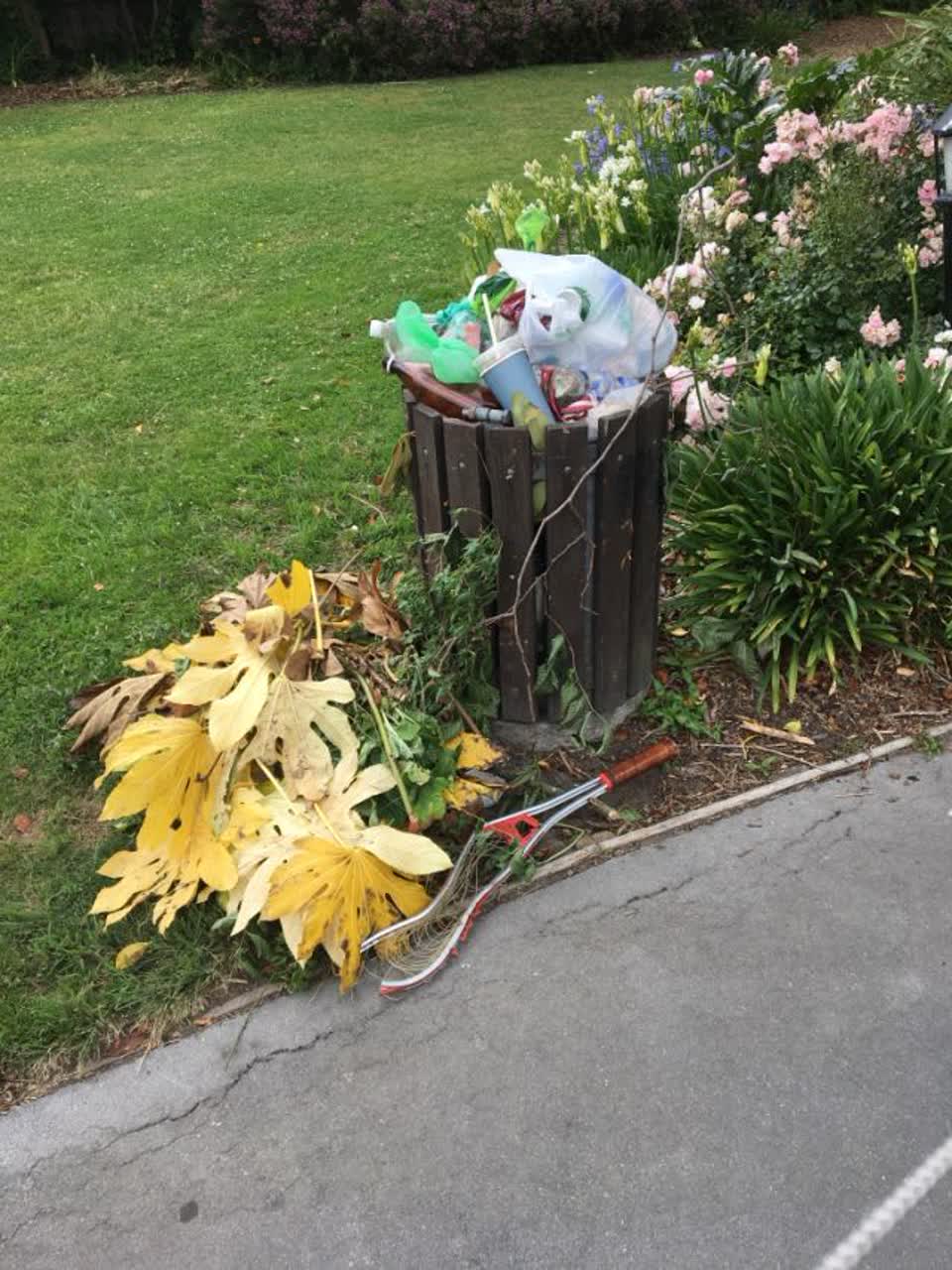 The photograph attached to this rubbish/recycling report