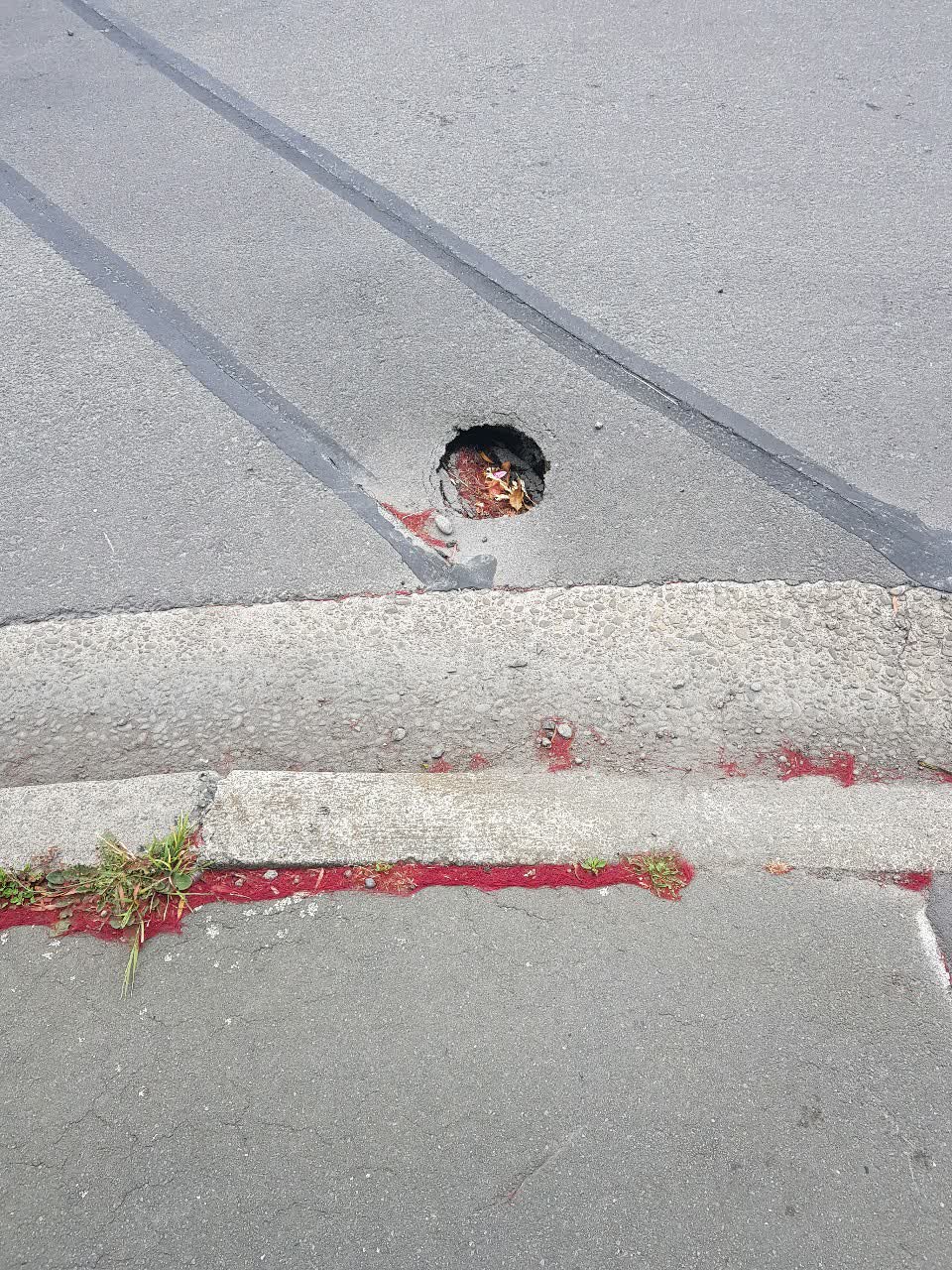 The photograph attached to this roading/streets report