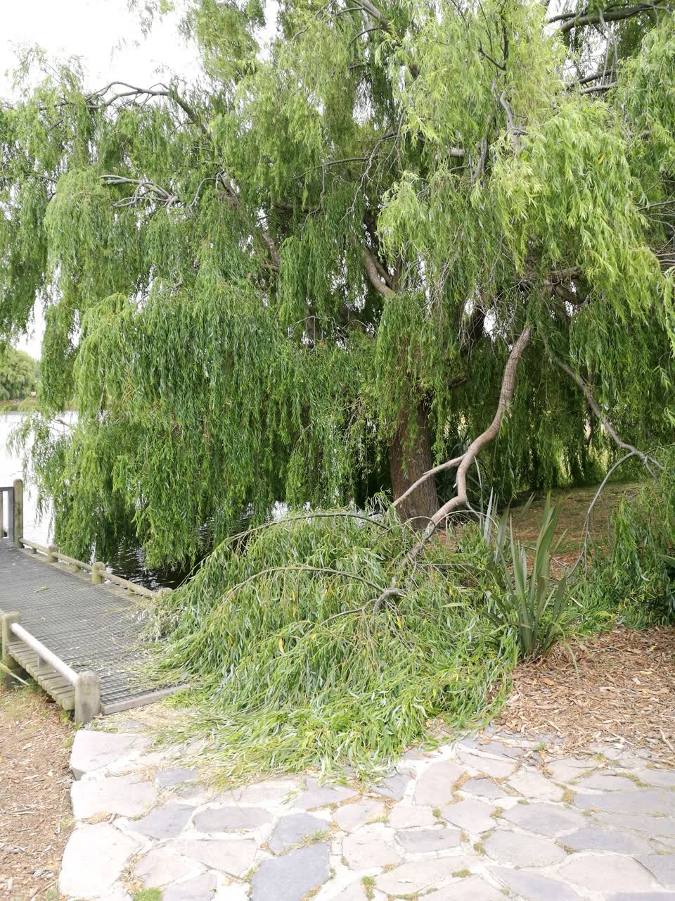 The photograph attached to this parks report