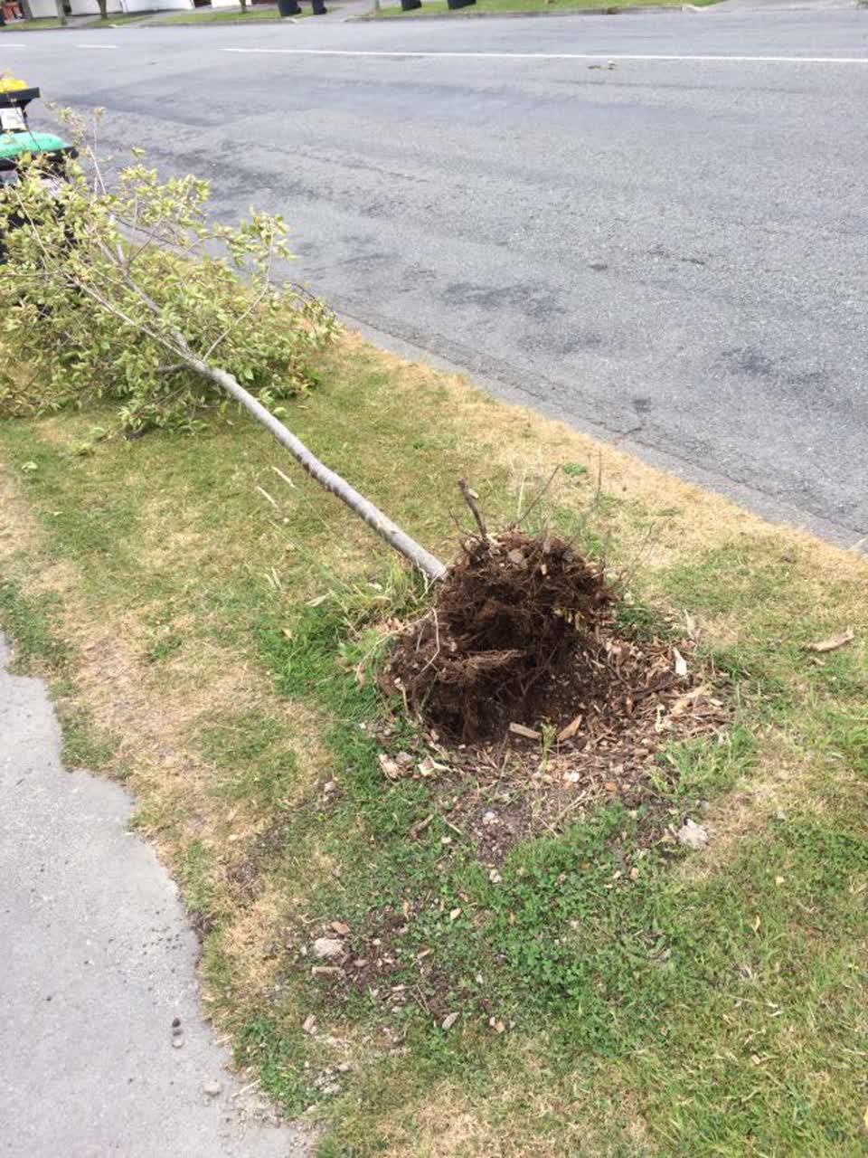 The photograph attached to this roading/streets report