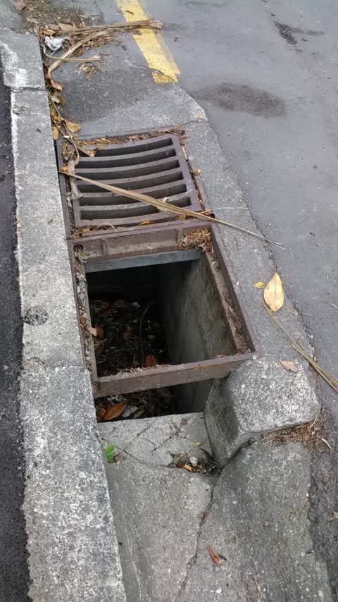 Roading/Streets, a report photo