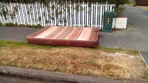 Rubbish/Recycling, a report photo