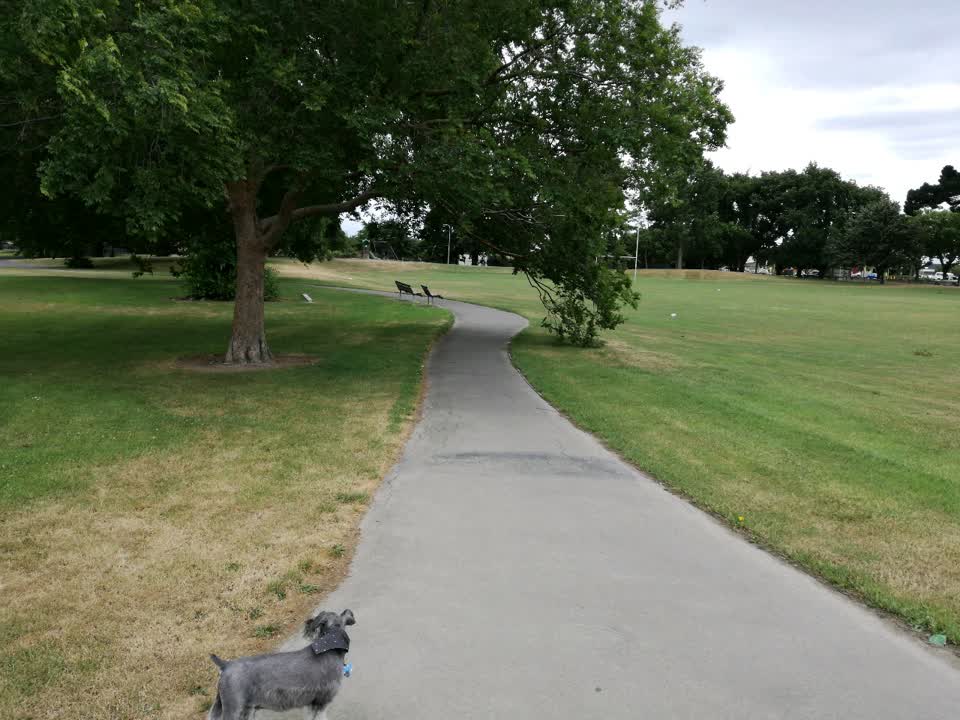 The photograph attached to this parks report
