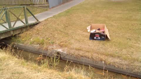 Rubbish/Recycling, a report photo