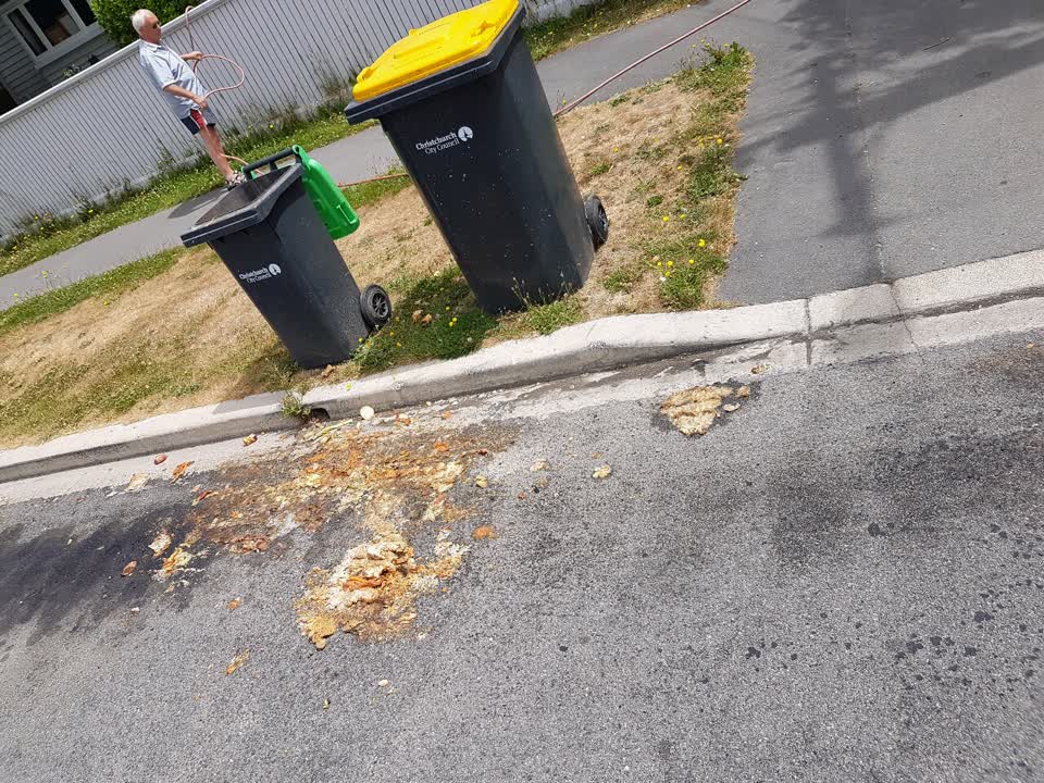The photograph attached to this rubbish/recycling report