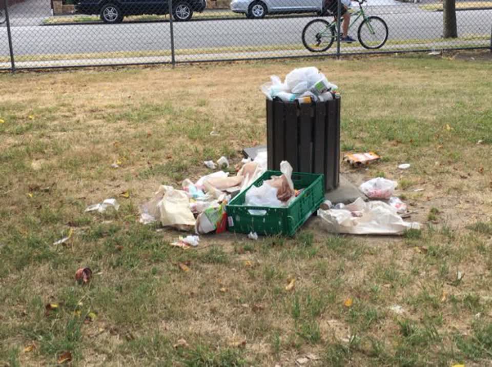 The photograph attached to this parks report
