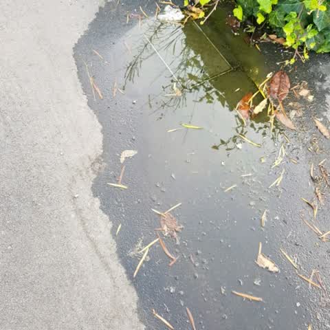 Wastewater/Stormwater, a report photo