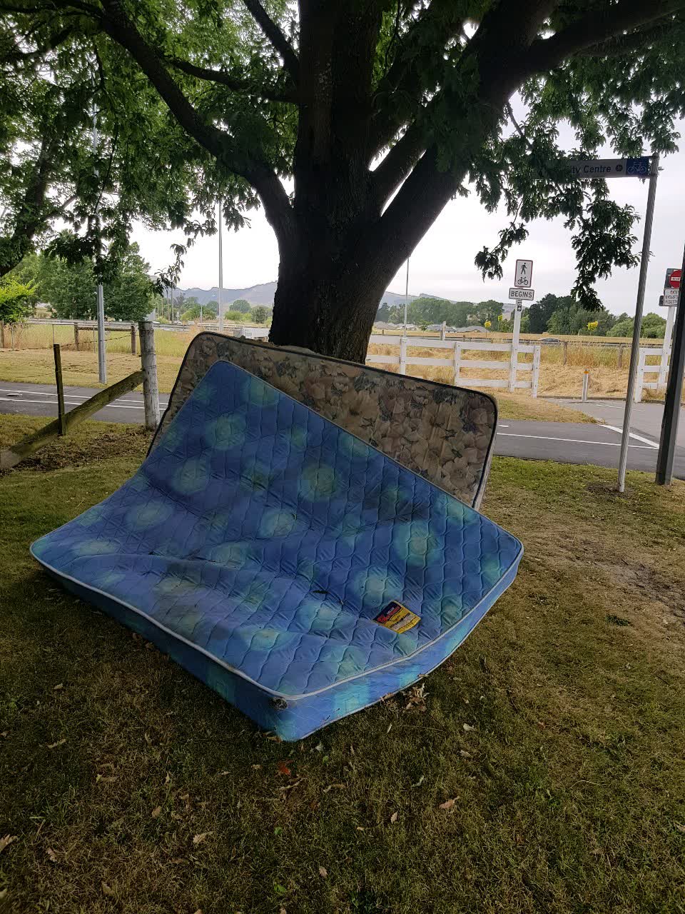The photograph attached to this rubbish/recycling report