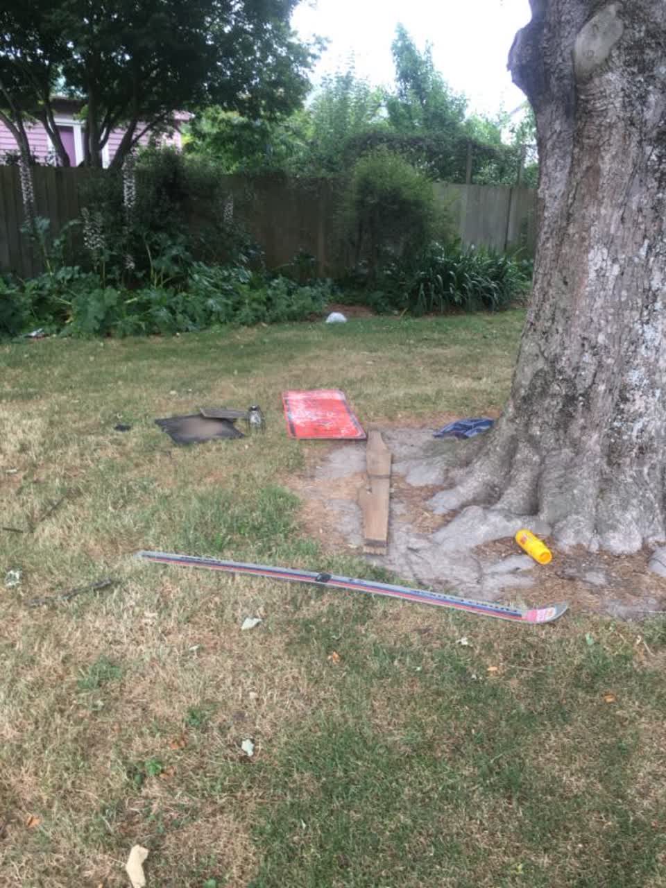 The photograph attached to this parks report