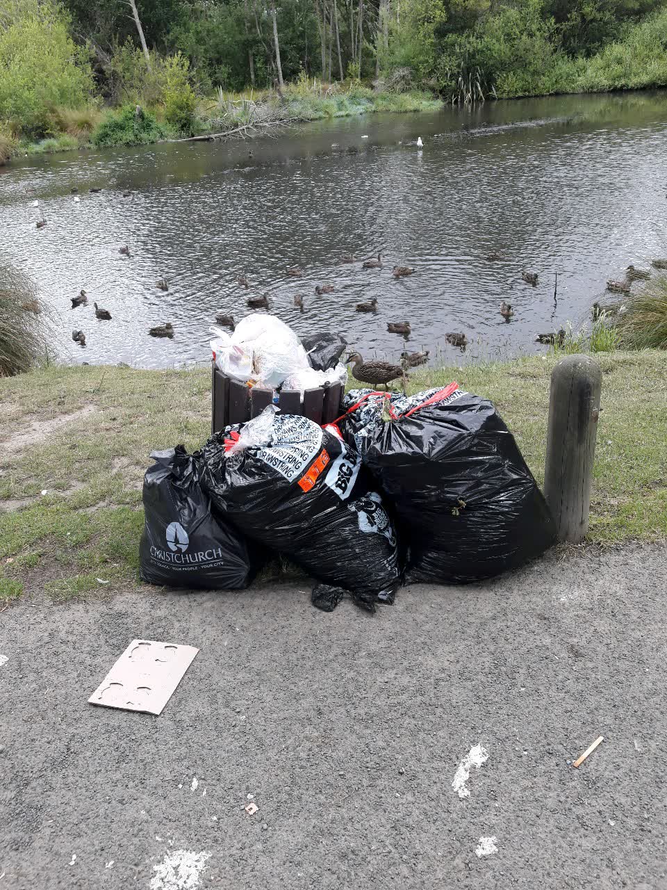The photograph attached to this parks report