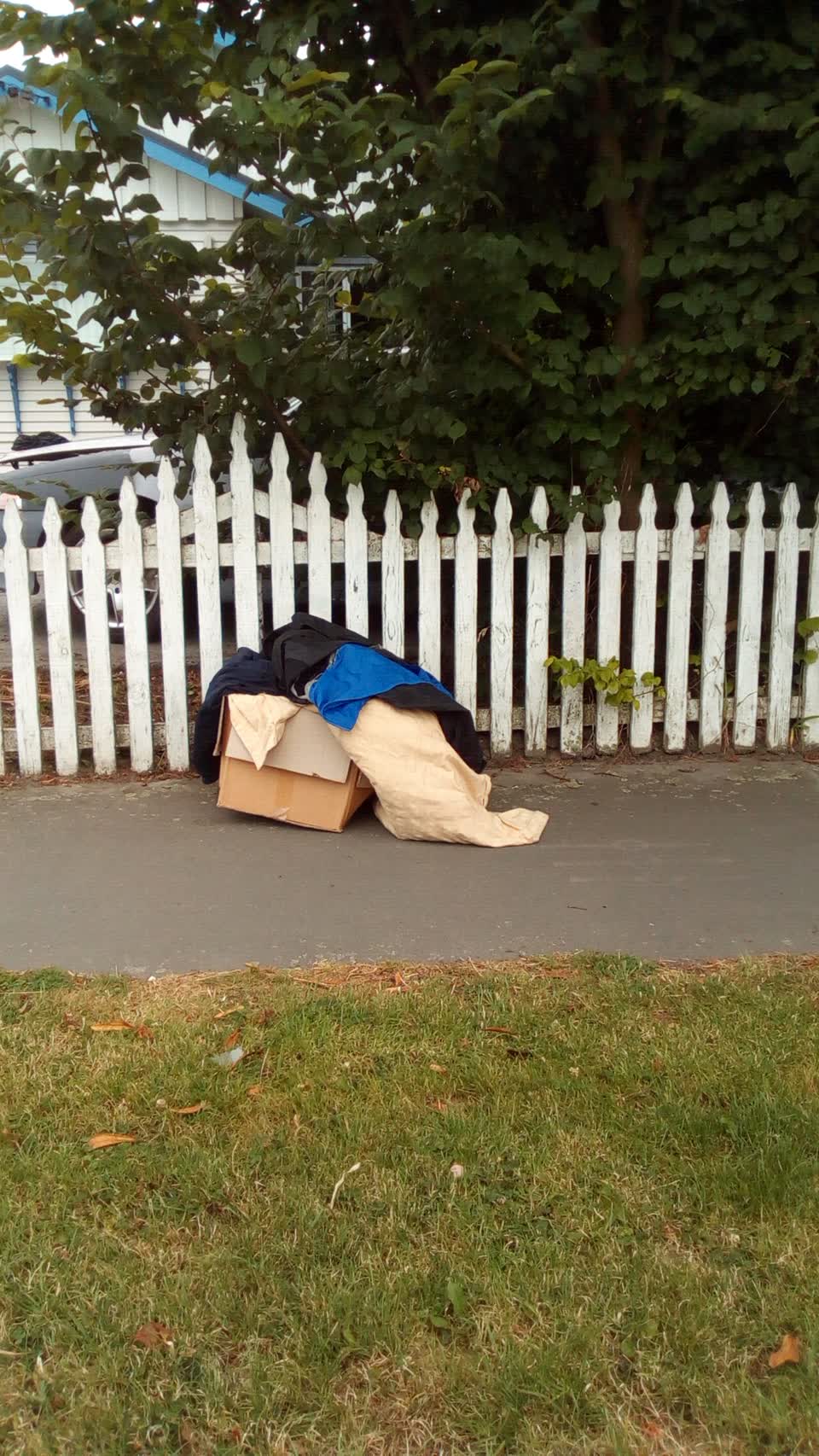 The photograph attached to this rubbish/recycling report