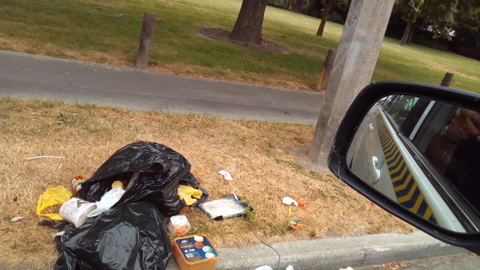 The photograph attached to this rubbish/recycling report