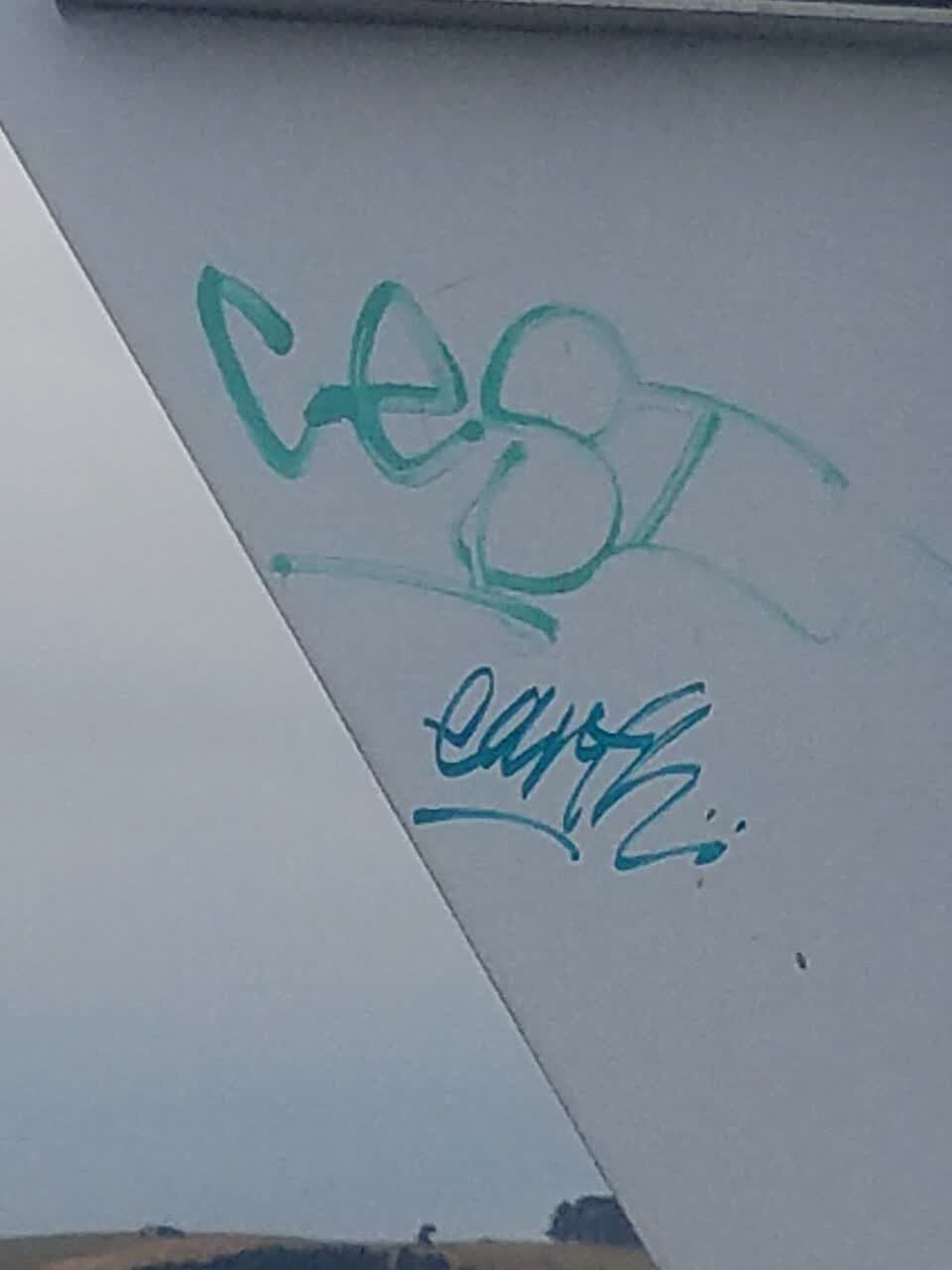 The photograph attached to this graffiti report
