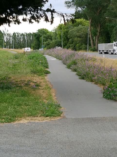 Roading/Streets — a report photo