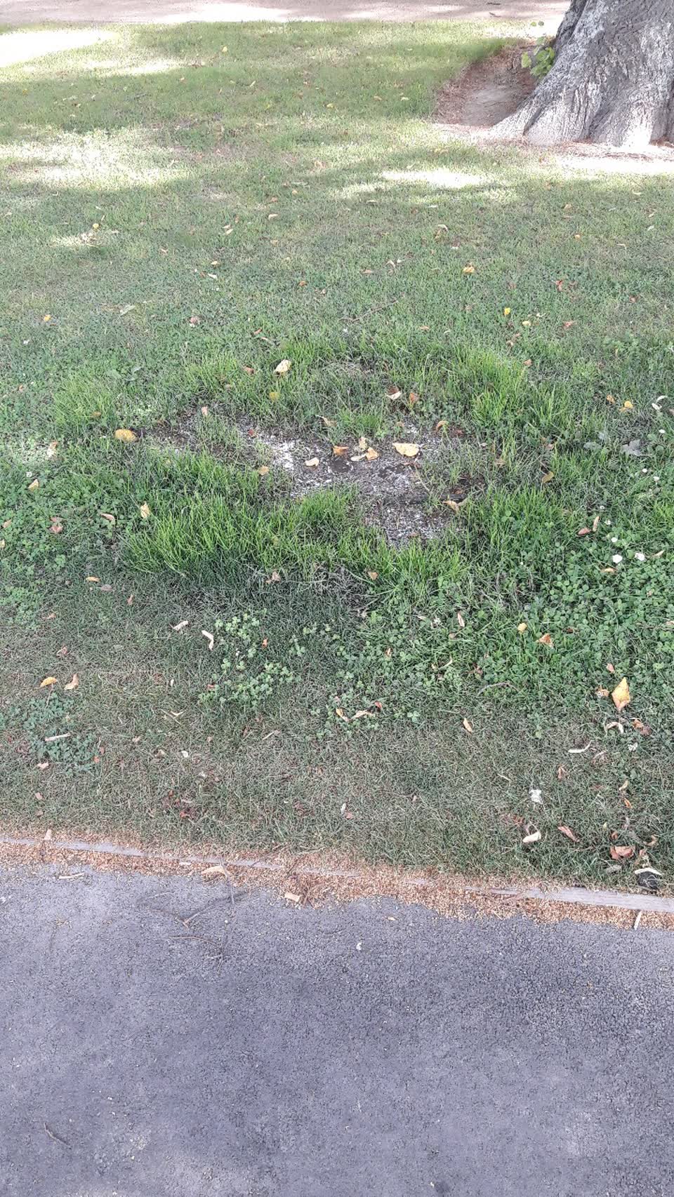 The photograph attached to this water supply report