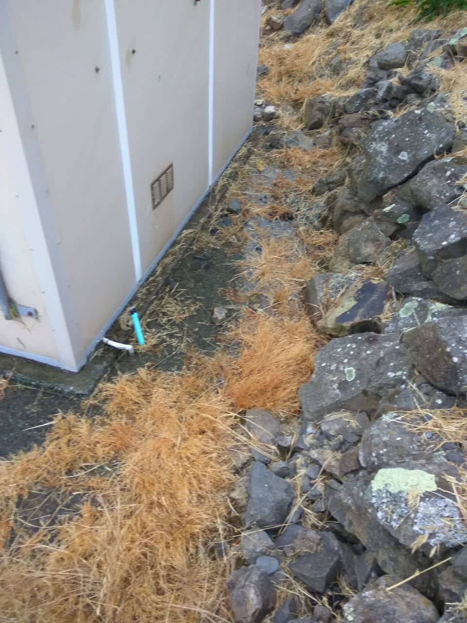 The photograph attached to this water supply report