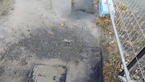 Water Supply, a report photo