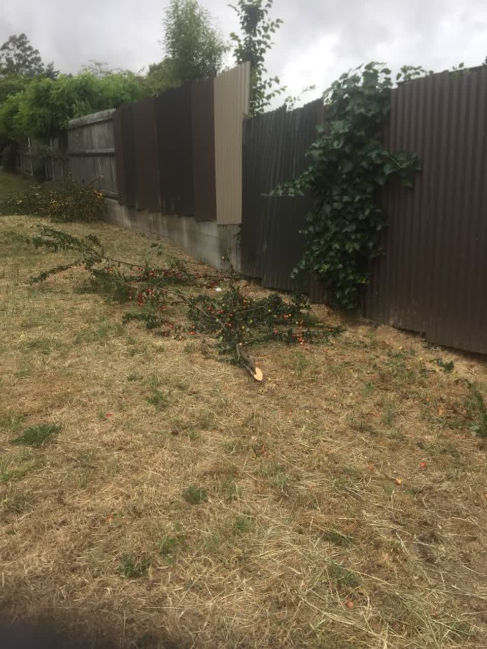 The photograph attached to this roading/streets report