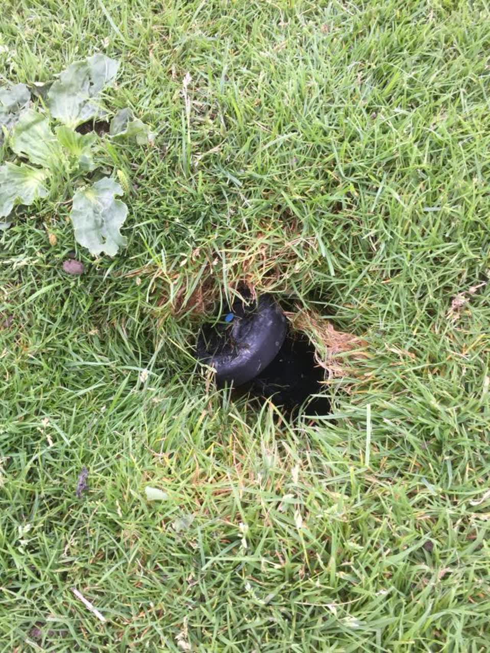 The photograph attached to this parks report