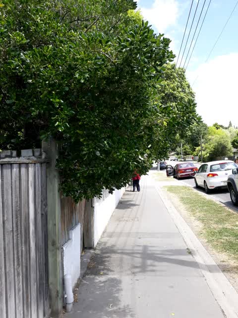 Roading/Streets, a report photo