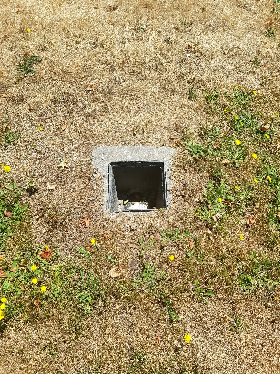 The photograph attached to this water supply report