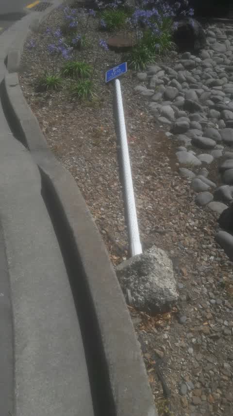 Roading/Streets, a report photo