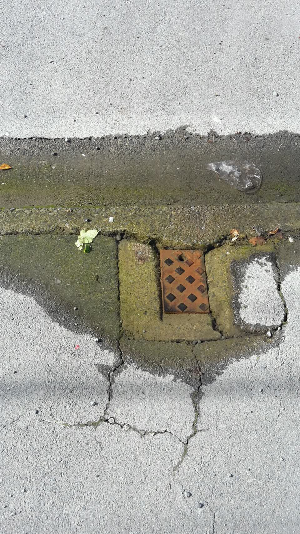 The photograph attached to this water supply report