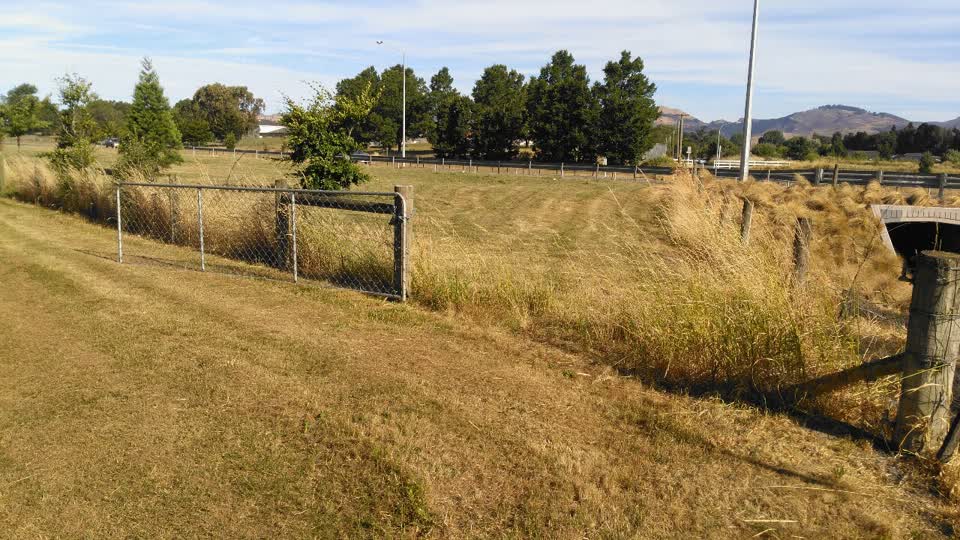 The photograph attached to this parks report