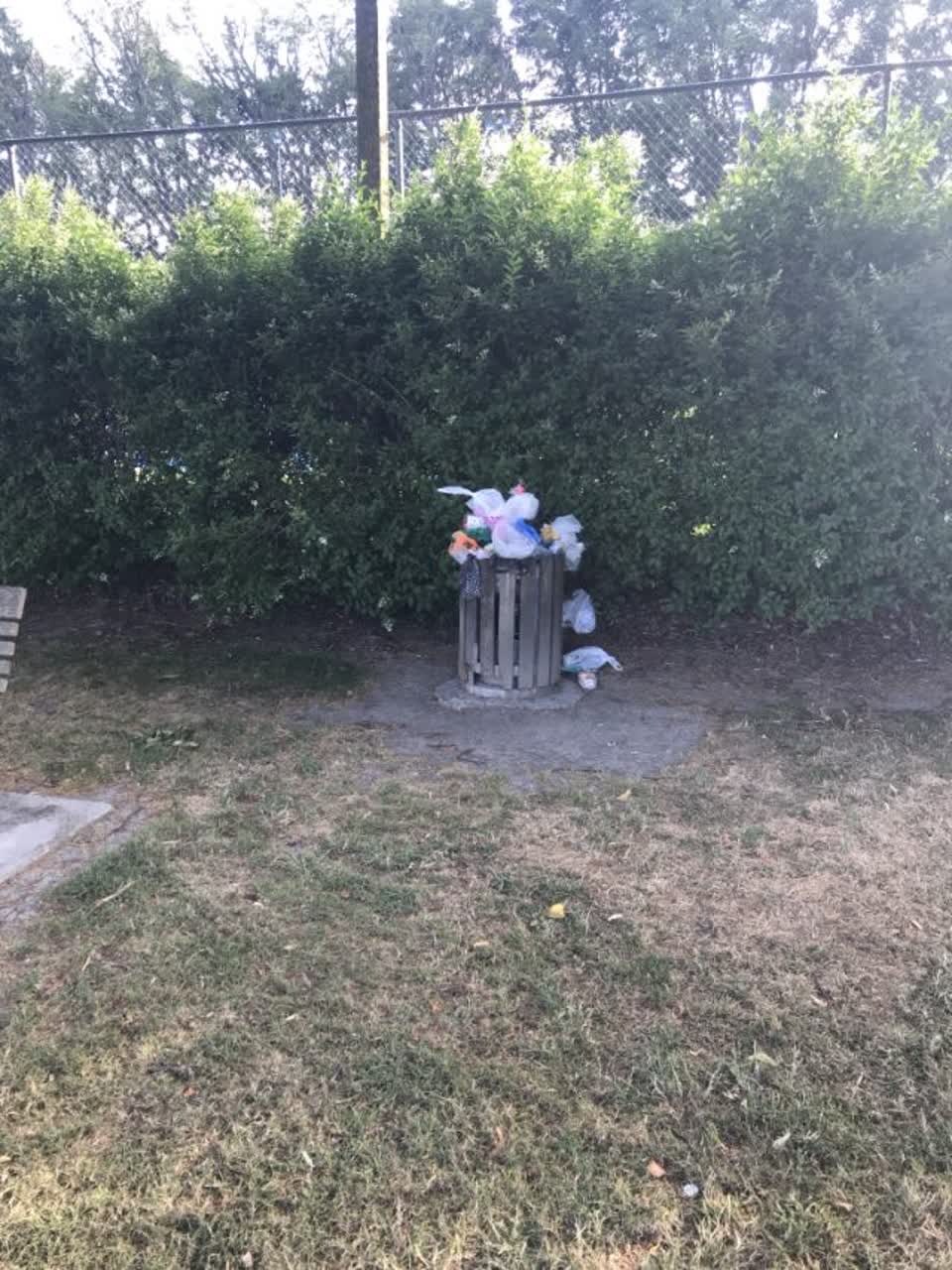 The photograph attached to this rubbish/recycling report