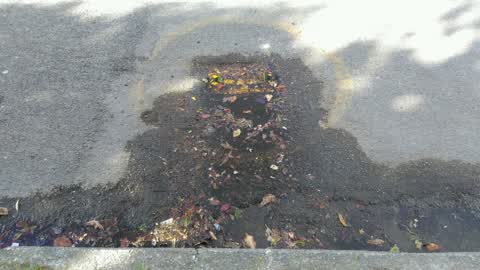 Water Supply, a report photo