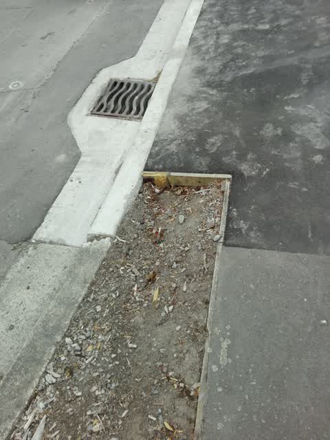 Roading/Streets, a report photo