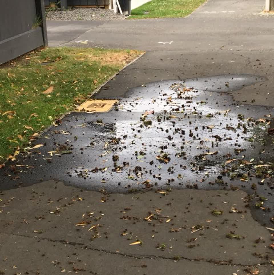 The photograph attached to this water supply report
