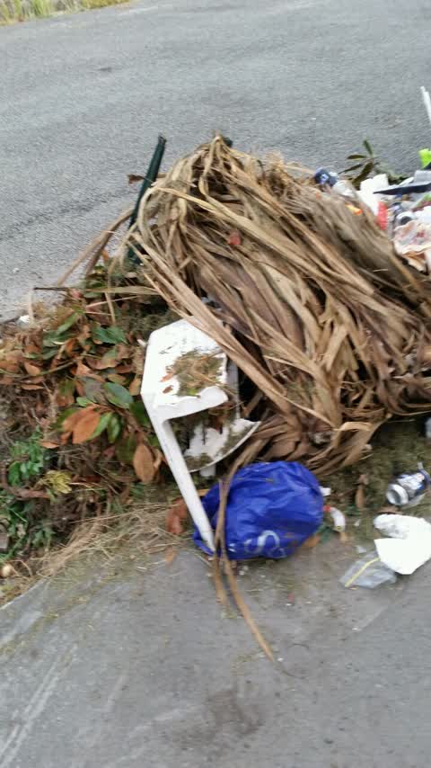 Rubbish/Recycling, a report photo