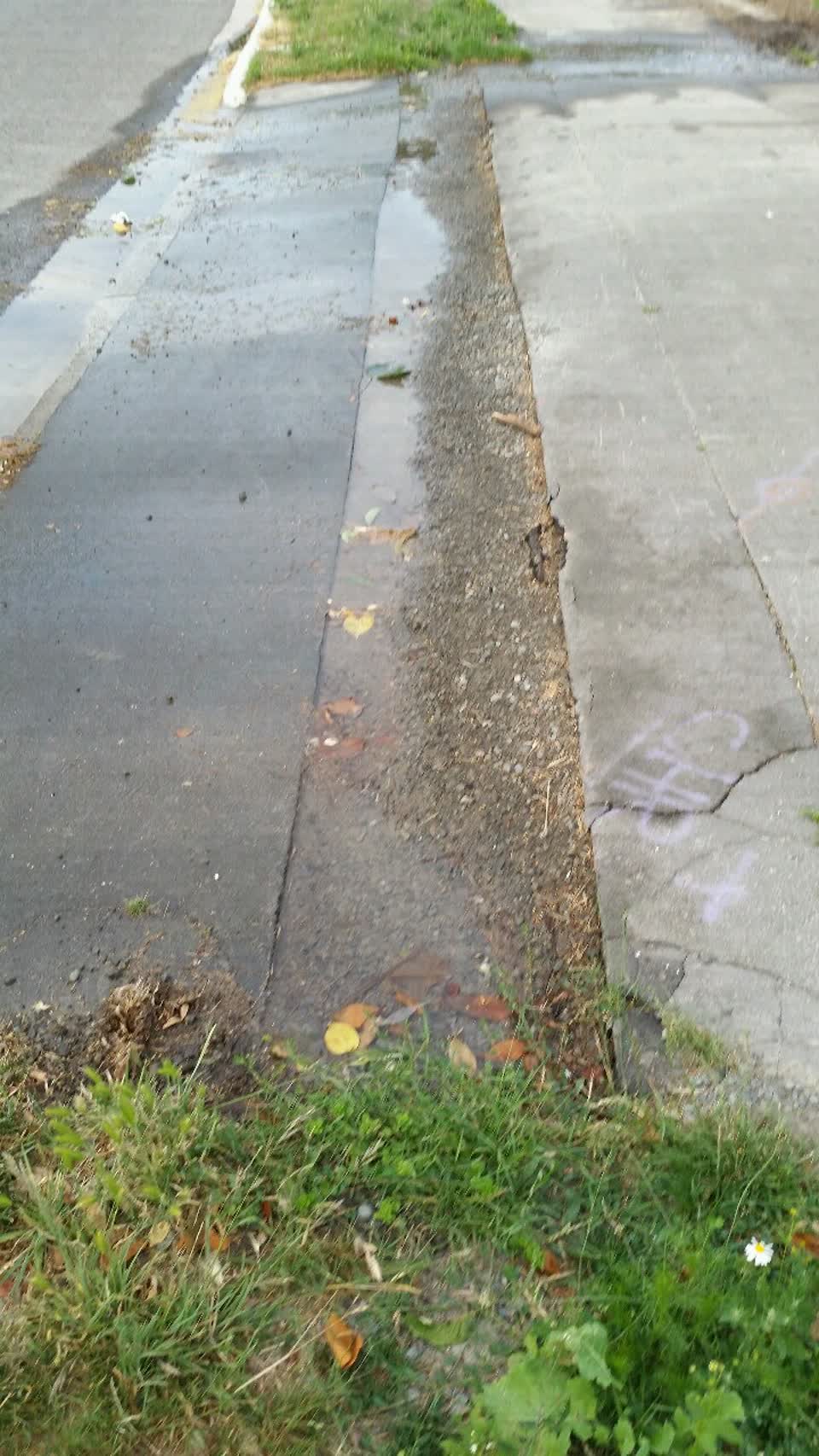 The photograph attached to this water supply report