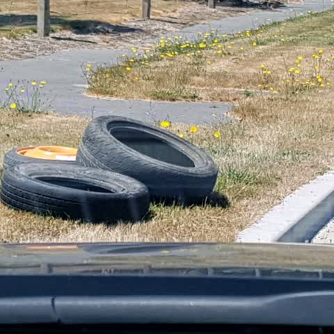 Rubbish/Recycling, a report photo
