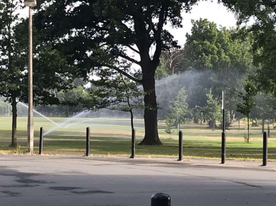 The photograph attached to this parks report